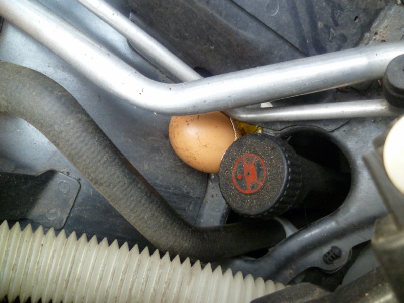 P1020682 [800x600].jpg