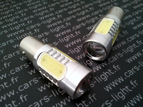P21-5W-16W.jpg