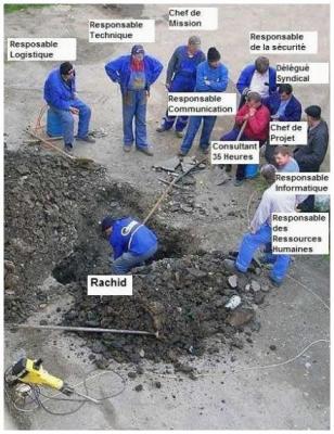 vrai.jpg