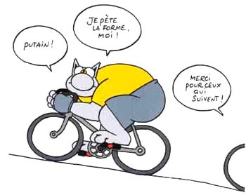 Chat_velo_1_.jpg