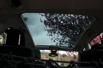 IMG_2867.JPG