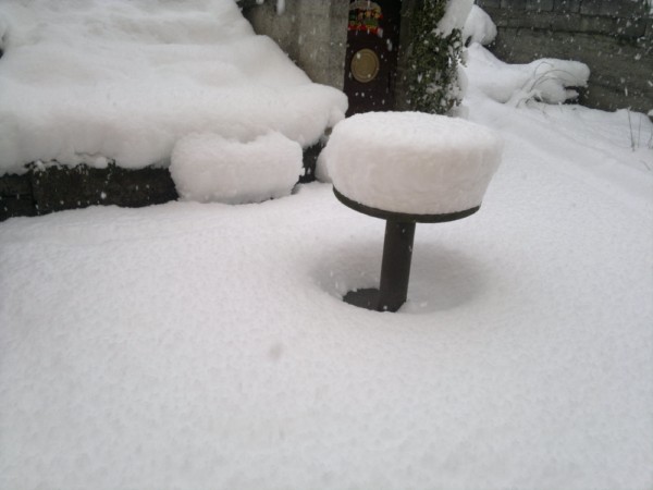 2013-02-12-328 [].jpg