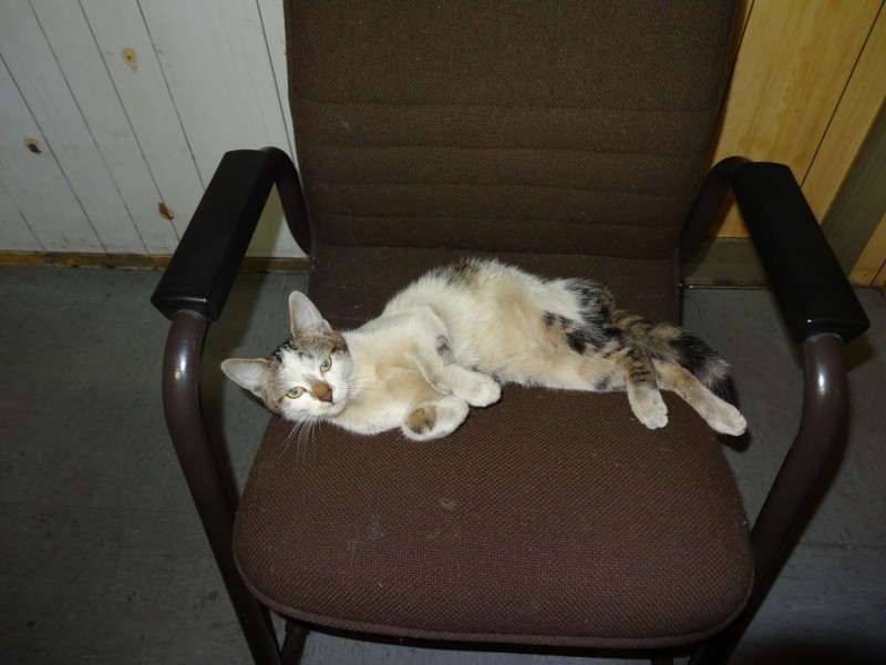 DSC01820.JPG