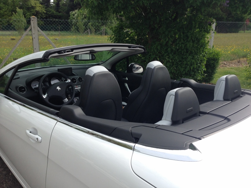 IMG_2801 (800x600).jpg