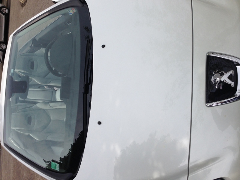 IMG_2803 (600x800).jpg