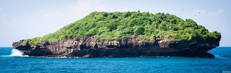 _DSC9665.jpg