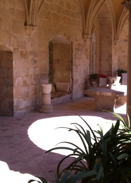 j'suis prem's pour la sieste!.jpg