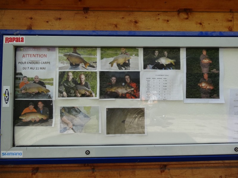 DSC02985.JPG (285.93 Kio) Vu 13705 fois DSC02985.JPG