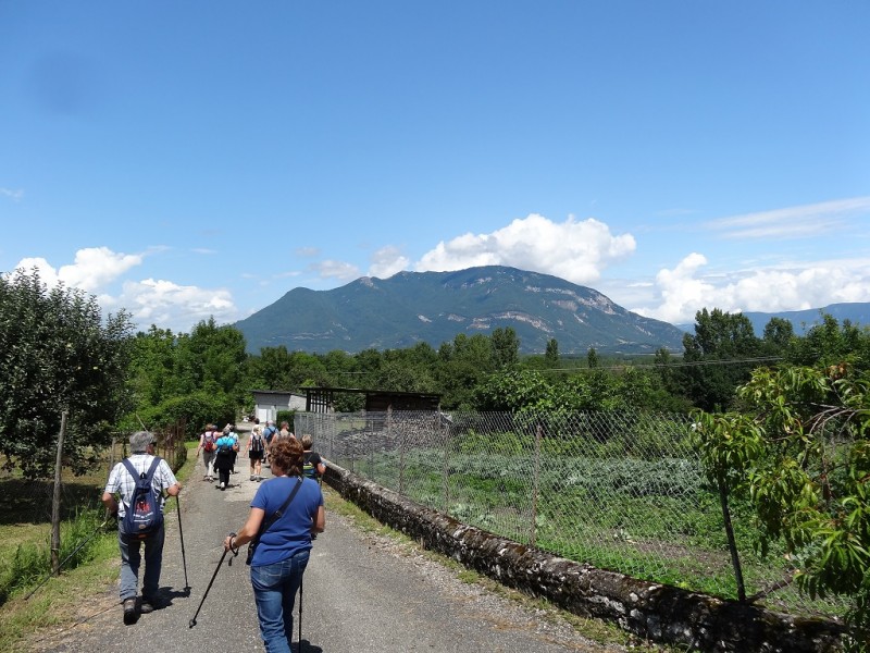 DSC03003.JPG (383.74 Kio) Vu 14102 fois DSC03003.JPG