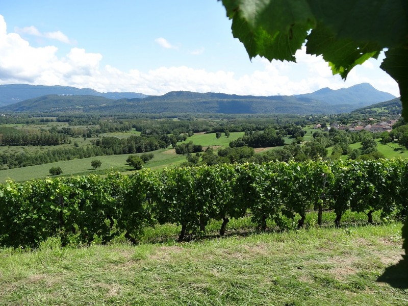 DSC03009.JPG (472.9 Kio) Vu 13705 fois DSC03009.JPG