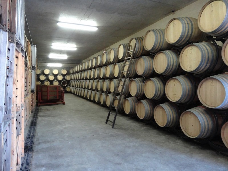 DSC03031.JPG (330.89 Kio) Vu 14102 fois DSC03031.JPG