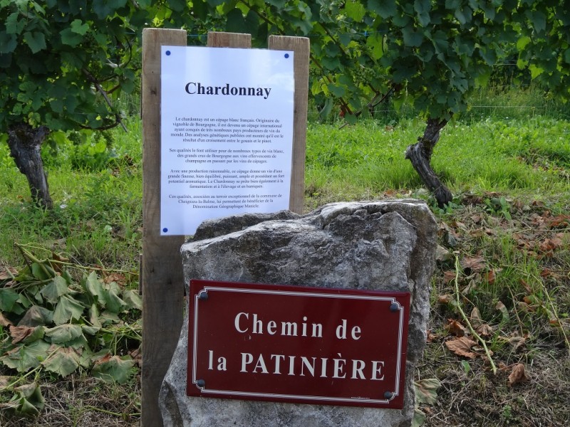 DSC03033.JPG (483.91 Kio) Vu 13705 fois DSC03033.JPG