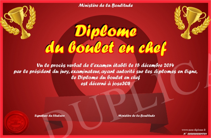 Diplome jose308.jpg