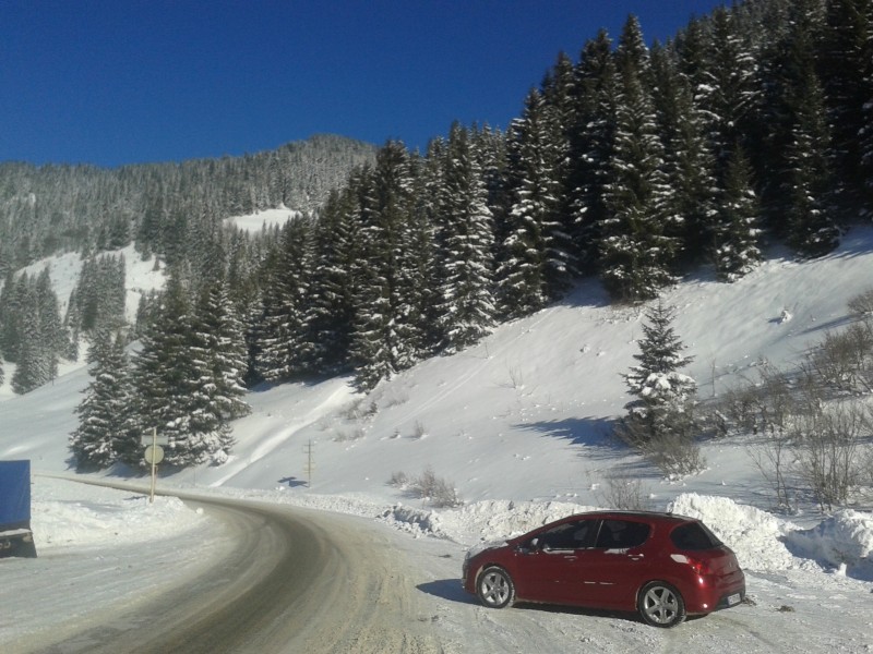201ff41231_114904.jpg