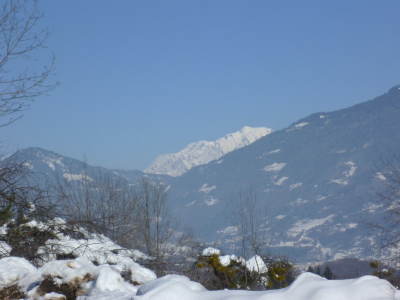 P1030893 [800x600].jpg