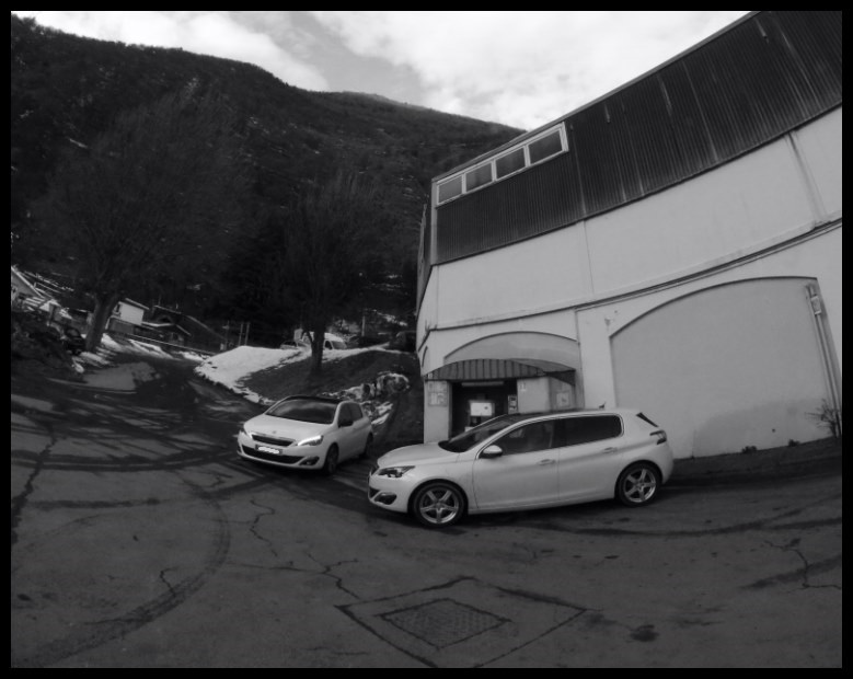 IMG_11407nb [800x600].jpg