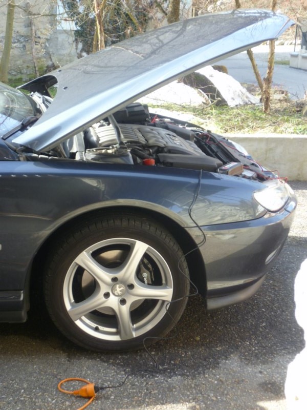 P1040020 [800x600].jpg