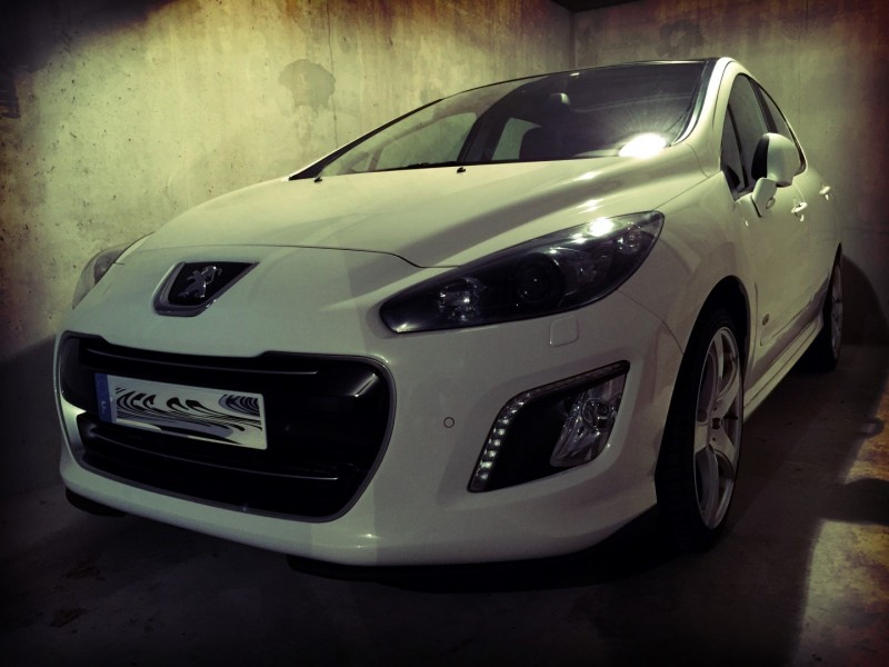 IMG_1693 (Large).JPG