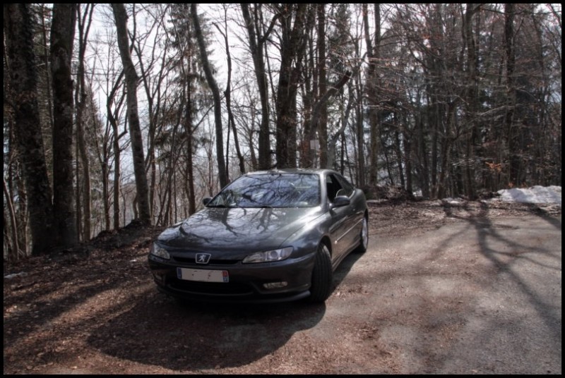 IMG_11647 [800x600].jpg