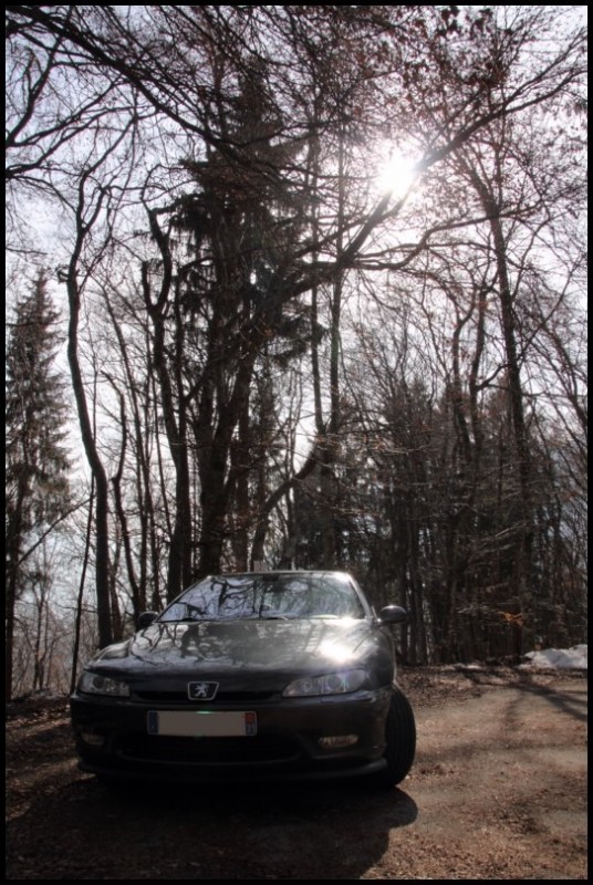 IMG_11648 [800x600].jpg