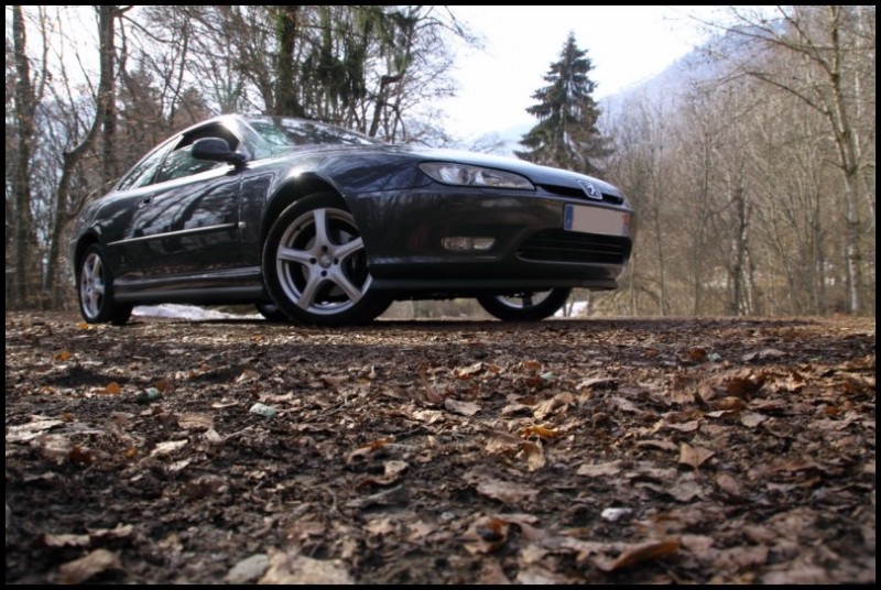 IMG_11651 [800x600].jpg