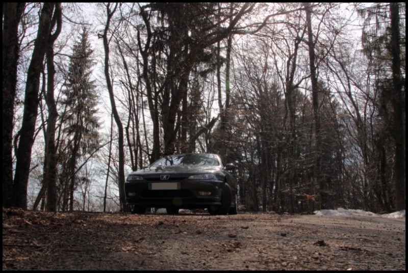 IMG_11652 [800x600].jpg