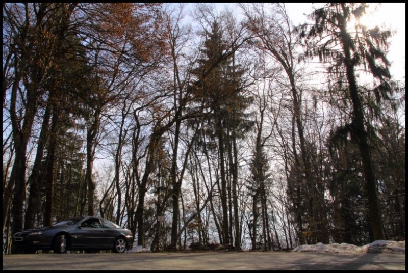 IMG_16149 [800x600].jpg