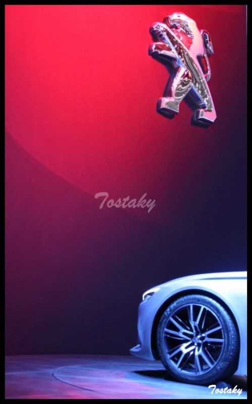 IMG_11550 [800x600].jpg