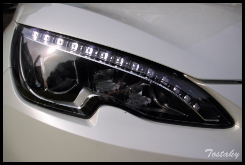 IMG_11829 [800x600].jpg