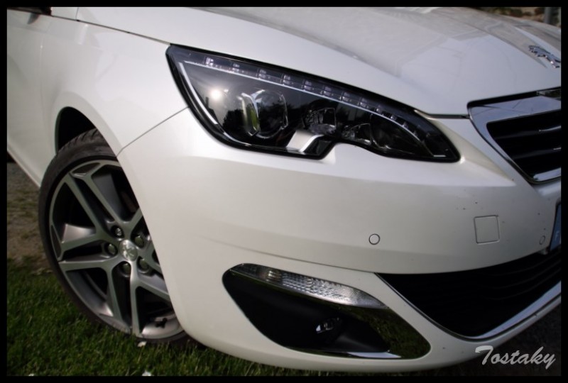 IMG_11827 [800x600].jpg