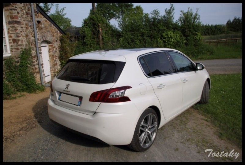 IMG_11826 [800x600].jpg