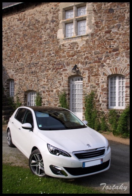 IMG_11825 [800x600].jpg