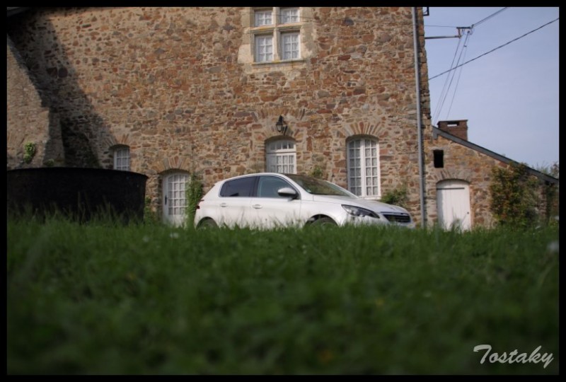 IMG_11824 [800x600].jpg