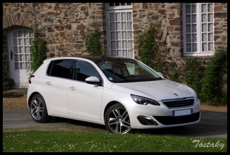 IMG_11820 [800x600].jpg