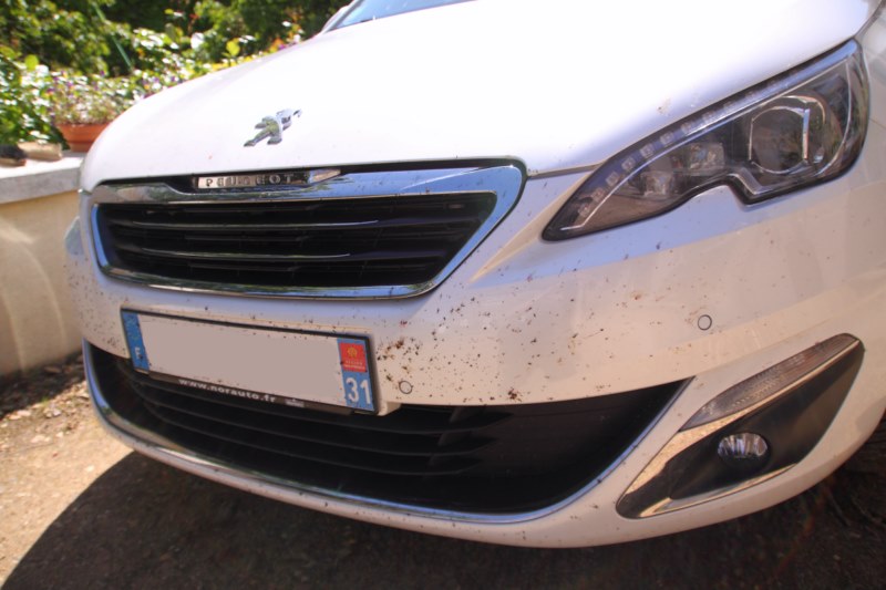 IMG_11762 [800x600].jpg