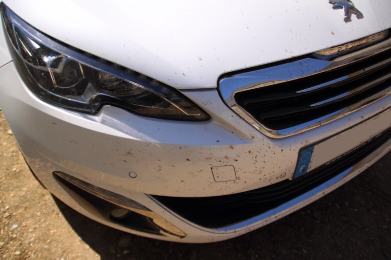 IMG_11761 [800x600].jpg