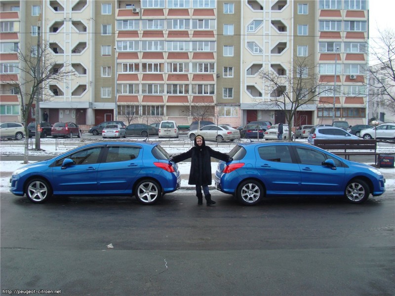 Мои Львы.jpg