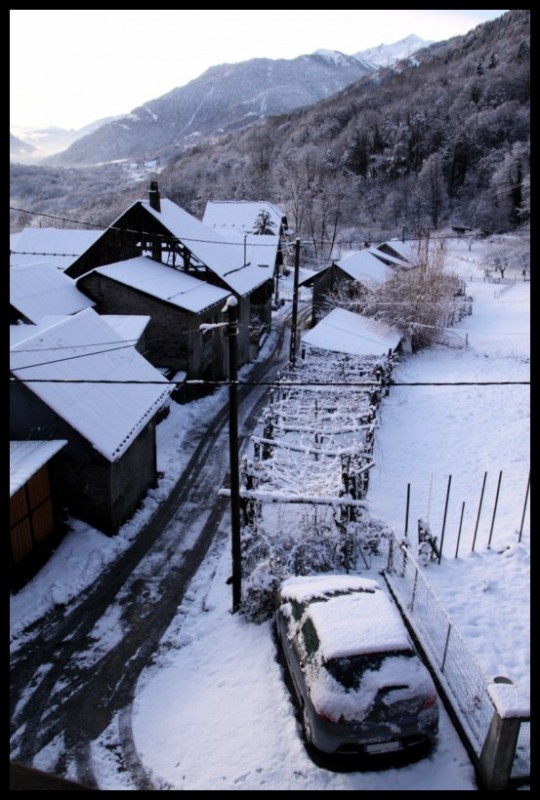 IMG_7318 [800x600].jpg