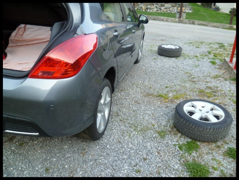 P1020349 [800x600].jpg