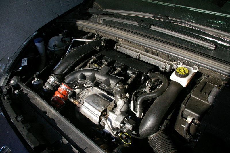 IMGP5514.JPG