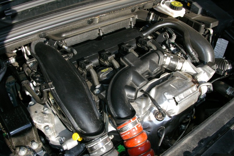 IMGP5515.JPG