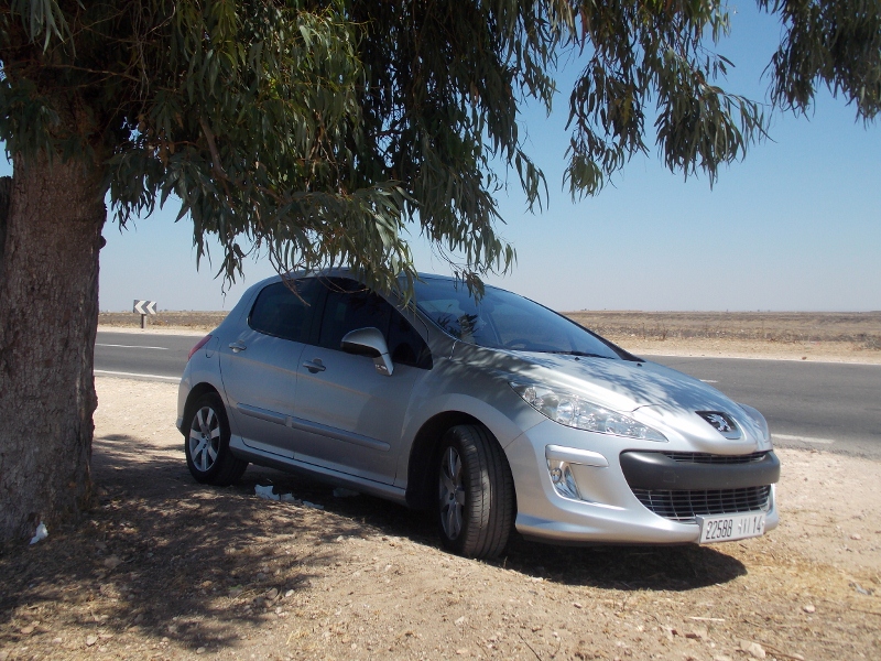 DSCN0219 (800x600).jpg